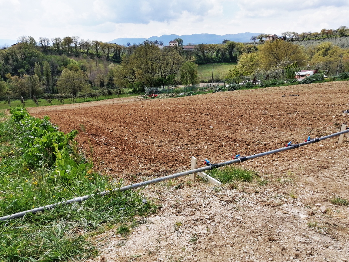 bidini-azienda-agraria